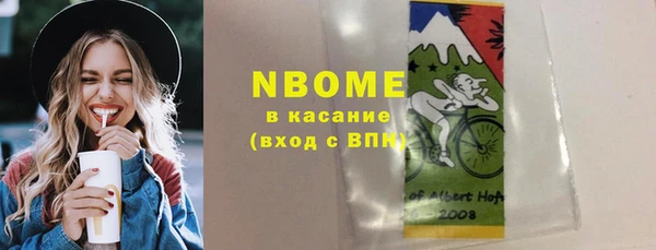 индика Алзамай