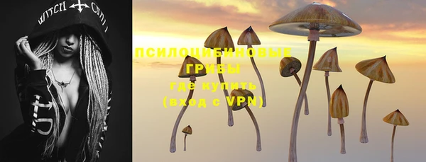 apvp Алексин