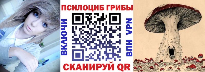 Псилоцибиновые грибы Magic Shrooms  купить закладку  Кондопога 